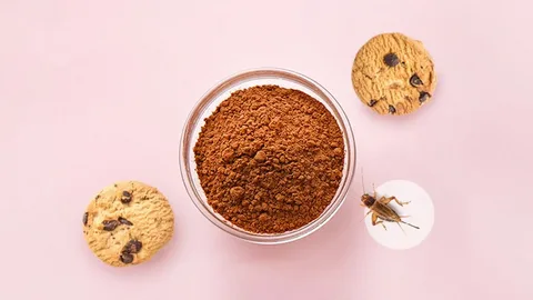 Cricket Flour: Protein Count, Nutrients, Taste, and Recipes