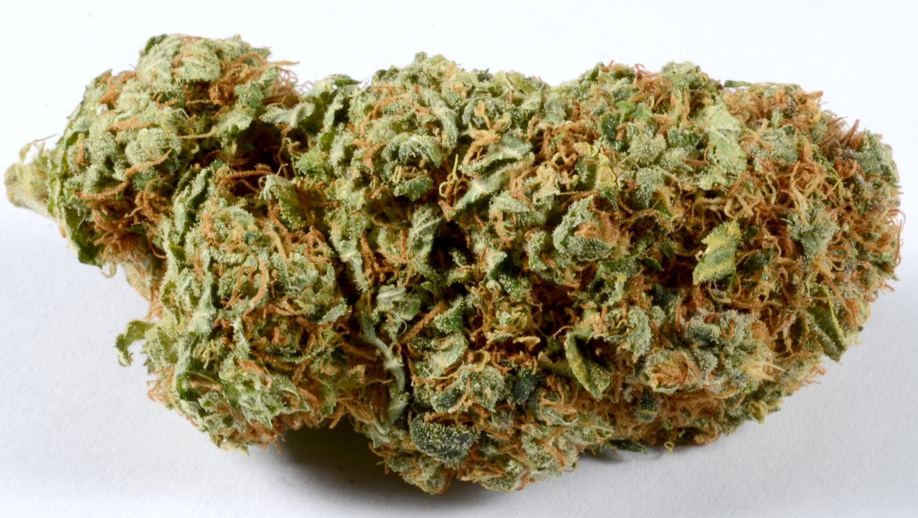 Kosher Chem Marijuana Strain